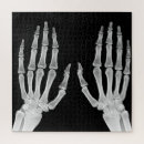 Suche nach menschliche anatomie puzzle Menschliches skelett