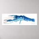 Suche nach blauer hummer poster Aquarell