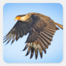 Suche nach adler flug aufkleber Natur