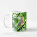 Suche nach waxwing Vogelliebhaber