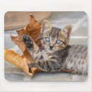 Suche nach niedliches kätzchen mousepads Für sie