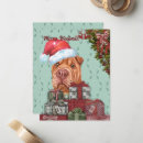 Suche nach sharpei karten Niedlich