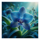 Suche nach blaue orchideen poster Natur