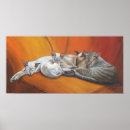 Suche nach 猫 poster Tschechisch