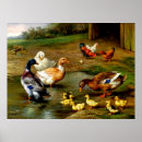Suche nach gelbe ente poster Vogelvogel