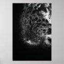 Suche nach gepard poster Panther