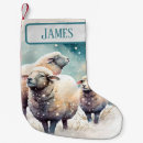 Suche nach natur weihnachts strümpfe Schnee