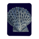 Suche nach muscheln magnete Küstenlinie