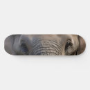 Suche nach afrika skaten Wild