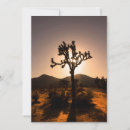 Suche nach joshua baum karten Landschaft