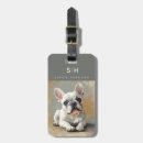 Suche nach bulldogge gepäckanhänger Hund