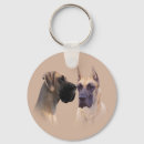 Suche nach great dane hund Tiere