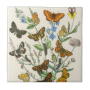 Suche nach vintage illustration fliesen Schmetterling