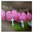 Suche nach kein freund fliesen Für sie