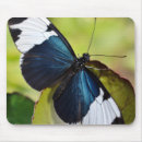 Suche nach blauer schmetterling mousepads Blauschmetterling