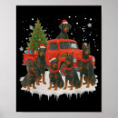 Suche nach dobermanns poster Dobermann pinscher