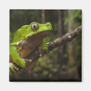 Suche nach riesen magnete Frosch