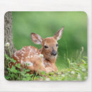 Suche nach fauna mousepads Hirsche