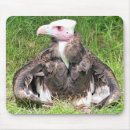 Suche nach geier mousepads Raubvogel