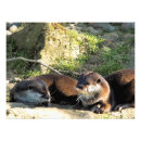 Suche nach marder poster Natur
