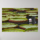 Suche nach mauritius poster Reisen