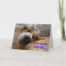 Suche nach große nase karten Hund