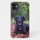 Suche nach labrador iphone hüllen Haustier