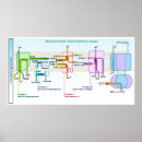 Suche nach eukaryote poster Biologie