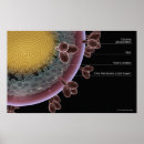 Suche nach hiv poster Horizontal