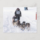Suche nach perfect postkarten Hund