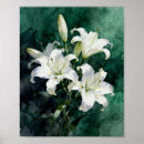 Suche nach weiße lilien poster Aquarell