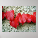 Suche nach strampler poster Natur