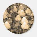 Suche nach pilz magnete Rollstühle