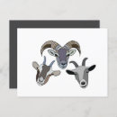 Suche nach lustige ziegen postkarten Für sie