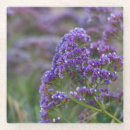 Suche nach lila blume untersetzer Makro