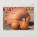 Suche nach riese riese poster Herbst