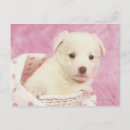 Suche nach taille postkarten Niedlich