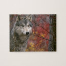 Suche nach wilder wolf puzzle Tiere