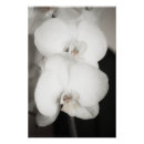Suche nach thoughtful poster Blume