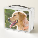 Suche nach golden retriever brotdose brotdosen Welpen