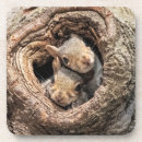 Suche nach baumstamm untersetzer Wald