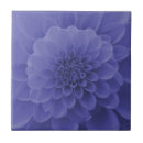 Suche nach dahlie blume fliesen Blau