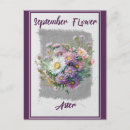 Suche nach aster blume postkarten September
