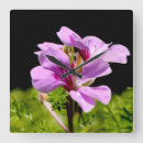 Suche nach rosa orchidee wanduhren Lila