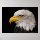 Suche nach beherrschung poster Tier