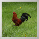 Suche nach liste poster Tiere