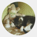 Suche nach gefüllt aufkleber Tiere