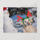 Suche nach cute animals karten Snow