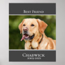 Suche nach hundedenkmal poster Haustierdenkmal