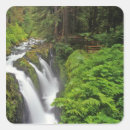 Suche nach olympic aufkleber Wald